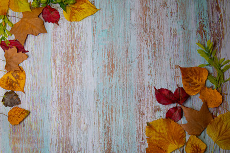 decoration on the autumn theme, yellow autumn leaves from different trees on a blue wooden...