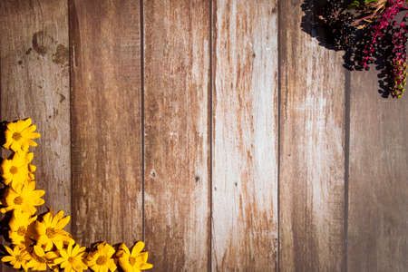 wooden background decorated with yellow autumn flowers and berriesの写真素材