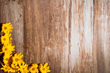 wooden background decorated with yellow autumn flowers and berriesの写真素材