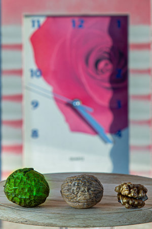 Time concept. Time passes by the example of the transformation of a nutの写真素材