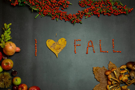 autumn flat lay, inscription I love autumn on a black background decorated with fruits of autumn, mushrooms, wild berries, applesの写真素材