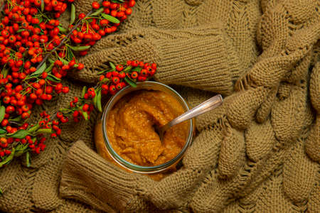 zucchini cream, decorated with a beige knit sweater and wild orange berriesの写真素材