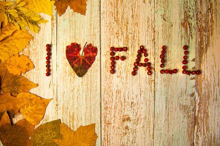 the inscription I love fall "on a blue wooden table decorated with autumn yellow leavesの写真素材