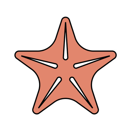 starfish icon vector illustrationのイラスト素材