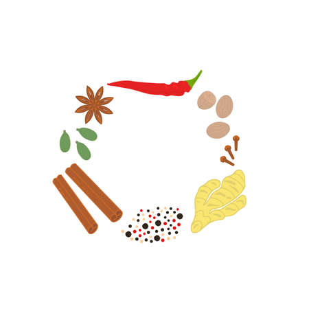 set of bright spices and condimentsのイラスト素材