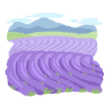purple fields, green meadows and mountainsのイラスト素材