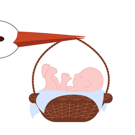 baby in a basket and a storkのイラスト素材