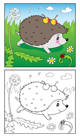 Coloring Book or Page Cartoon Illustration of Funny hedgehog and Insect for Children.のイラスト素材
