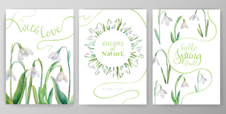 Set of vector cards with spring flowers. Collection of cards with watercolor snowdrops. Frames and backgrounds on a spring theme for your designのイラスト素材