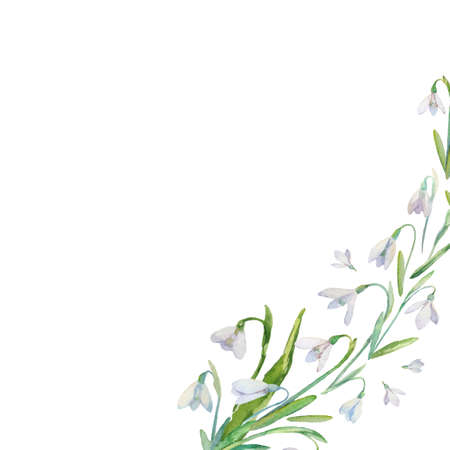 Floral watercolor background with spring flowers. Cute retro snowdrops background. Can use for greeting, wedding invitations and birthday cardsのイラスト素材