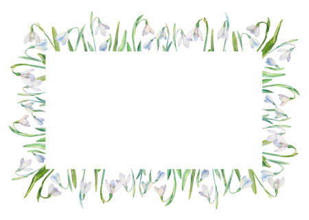 Snowdrops vector frame. Watercolor painted snowdrops and leaves on white background. Natural spring design for holiday, greeting, and invitation cards.のイラスト素材