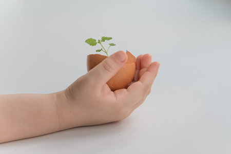 Children hand holding the egg shell with plant in it on the white