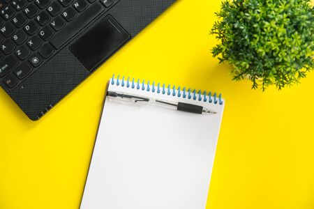 Flatlay mockup of laptop, green plant, pen and notebook on bright yellow background. Planning concept with space for textの写真素材