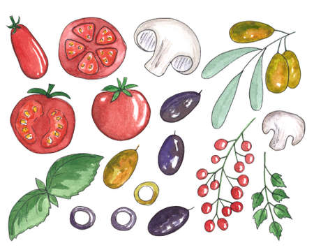 Hand painted watercolor illustrations of a lot of tasty vegetable ingredients. Isolated food illustrations for restaurants and cooking. Tomatoes, mushrooms, olives and basil.の写真素材