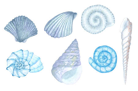 Hand-painted watercolor blue seashell illustrations. Marine theme turquoise clip art. Blue seashell imagesの写真素材