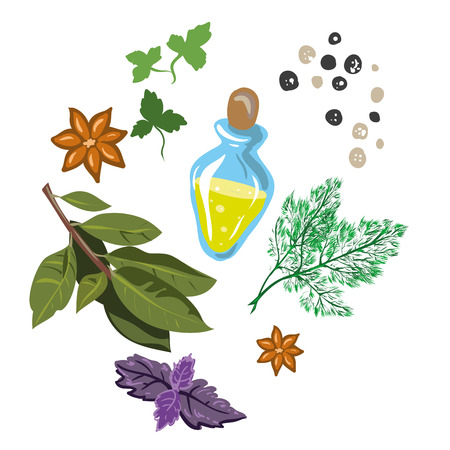 spices and flavorings cartoon free hand styleのイラスト素材