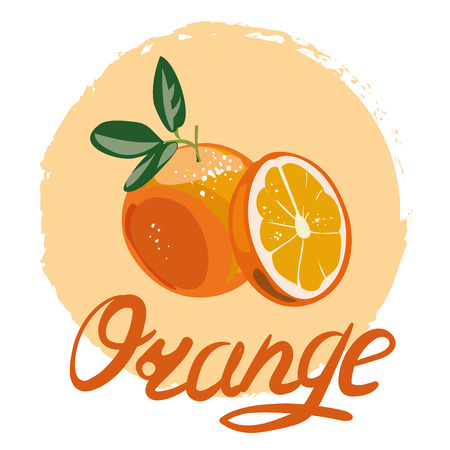 Orange whole and slices of oranges.のイラスト素材
