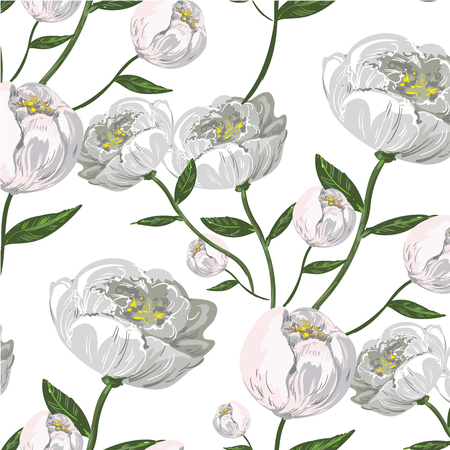 White Peony vector seamless patternのイラスト素材