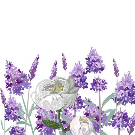 Hand drawn vector lavender and peony templateのイラスト素材