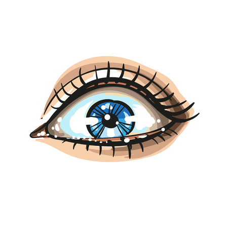 Eye on white background. Vector illustration.のイラスト素材