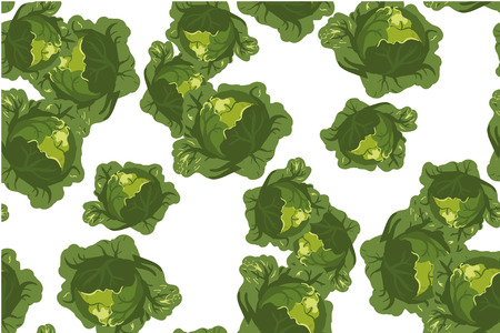 Cabbage seamless pattern on white.のイラスト素材