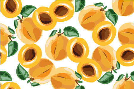 Apricot seamless pattern on white.のイラスト素材