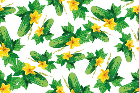 Cucumber seamless pattern on white , vectorのイラスト素材