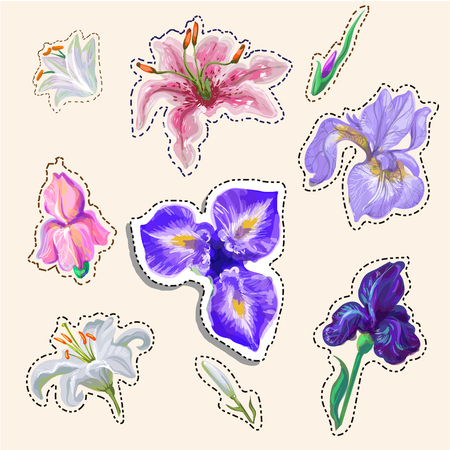 Flower Stickers tender colors hand drawn in vector fashion badgesのイラスト素材