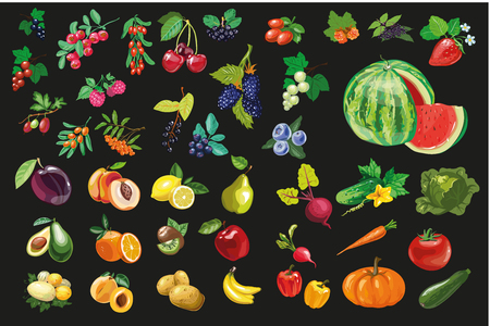 Fruits vegetables and berriesOrganic food icons vector illustrationのイラスト素材