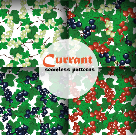 Currant seamless pattern collection vector setのイラスト素材