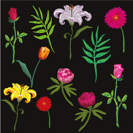 collection of colorful flowers. Vector illustration.のイラスト素材