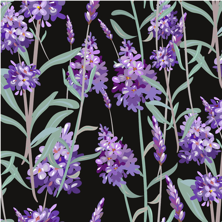 Vector pattern with Lavender. Hand painting. Seamless texture for fabric, paper print wrapping, black backgroundのイラスト素材