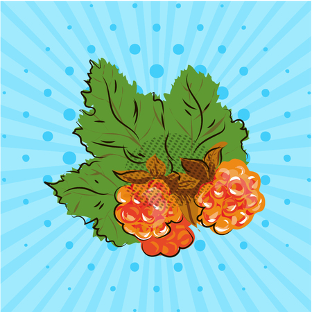 Ripe cloudberry with yellow orange berries on blue background, lines, dots. Vector illustration. Hand drawn in style pop art. Eco foodのイラスト素材