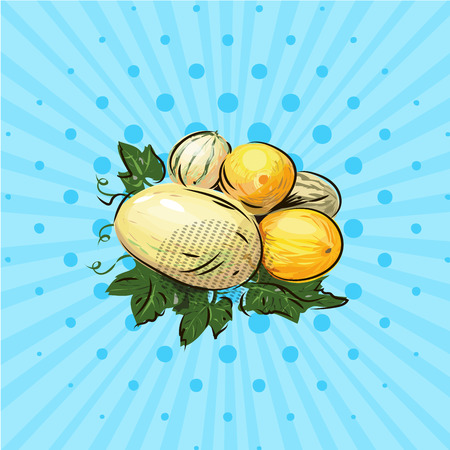 A few ripe melons on a blue background vector illustration. Hand drawn no style pop art.のイラスト素材