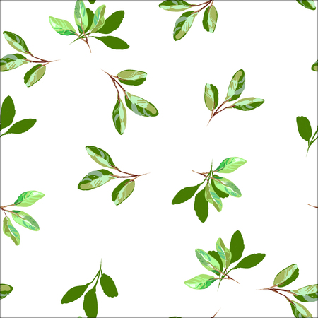 Seamless pattern of green leaves, foliage natural branches, herbs, tropical plant, Vector fresh beauty rustic eco friendly background on whiteのイラスト素材