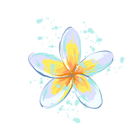 Plumeria flower with splash sketch style hand drawn illustrated element.のイラスト素材
