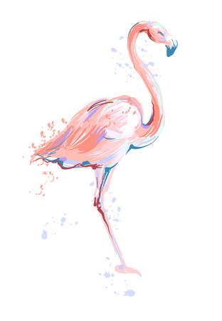 Pink flamingo sketch vector illustration on white background.のイラスト素材