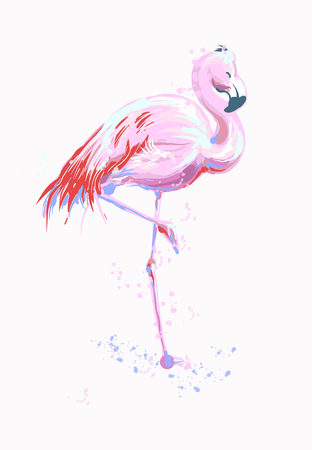 Vector illustration pink flamingo. Exotic bird. Cool flamingo decorative sketch freehand design element. Lovely flamingo.のイラスト素材