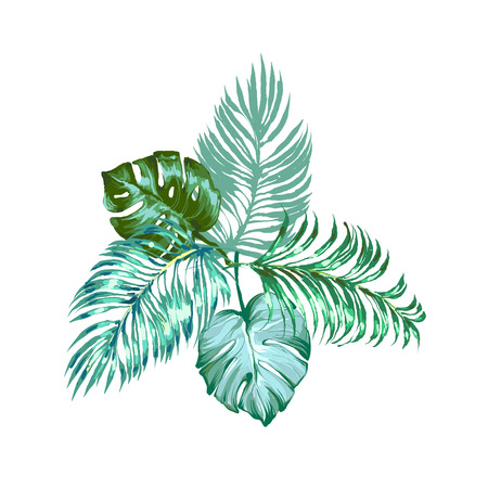 Vector tropical leaves composition with palm and monstera. Exotic botanical design for cosmetics, spa, perfume, health care products, aroma, wedding invitationのイラスト素材