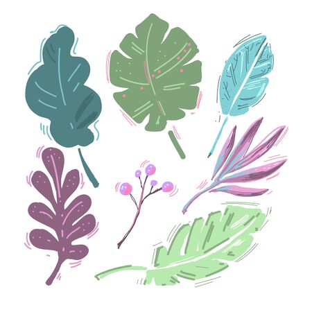 Tropical leaves collection isolated on white. Modern Cartoon hand drawn leaf and berries set vector illustration.のイラスト素材