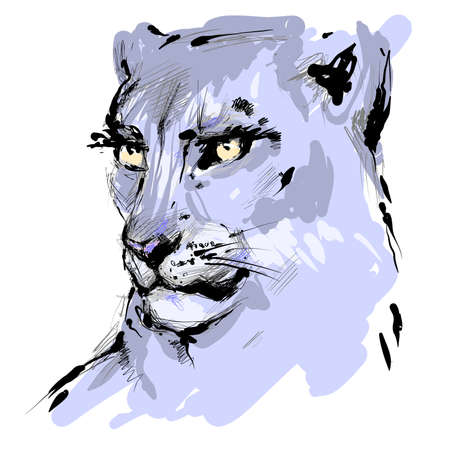 Lioness head with yellow eyes drawing, vector hand drawn sketchのイラスト素材