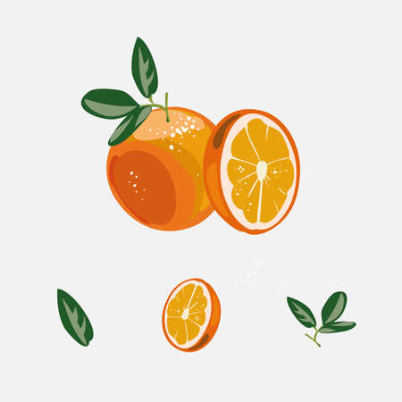 Fresh orange with sliced half fruit and isolated objectsのイラスト素材