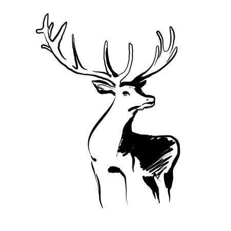 Stag deer sketch vector graphics monochrome black and white drawingのイラスト素材