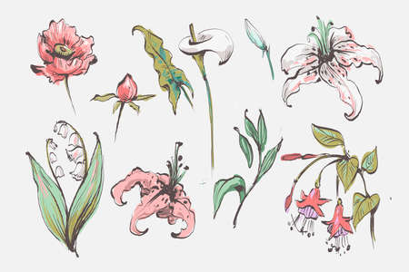 Set of floral elements. Flower and green leaves. Wedding concept - flowers. Floral poster, invite. Vector arrangements for greeting card or invitation design.のイラスト素材