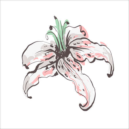 leaf sketch color doodle on the white backgroundのイラスト素材