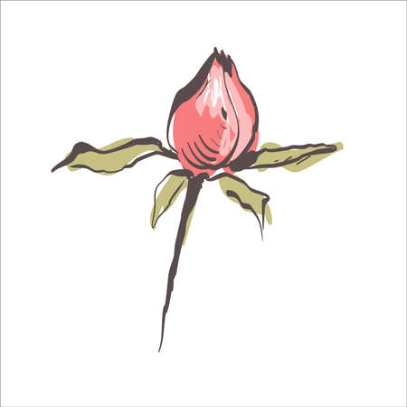 Rose single closed bud and colored spots. Minimalist sketch.のイラスト素材