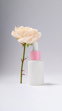 Makeup. A white serum bottle on a gray background. Pink rose.の写真素材
