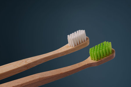 Two wooden toothbrushes with green and white shields on a blue background. Space for text.の写真素材