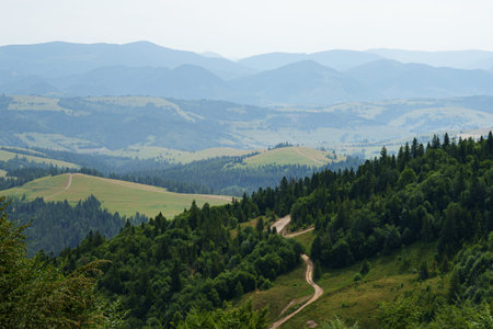 Carpathian hills in summer. Trail between mountains. Nature, tourism, eco, Carpathians, summer,...