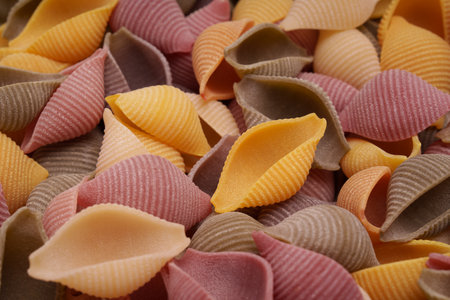 Colorful Conchiglie Pasta Close-up.の写真素材